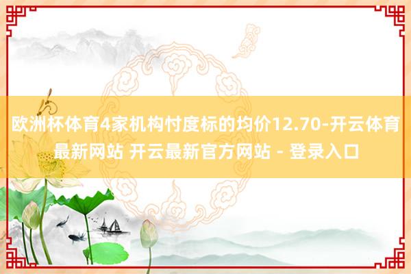 欧洲杯体育4家机构忖度标的均价12.70-开云体育最新网站 开云最新官方网站 - 登录入口