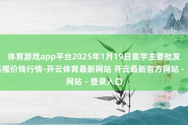 体育游戏app平台2025年1月19日寰宇主要批发阛阓番石榴价钱行情-开云体育最新网站 开云最新官方网站 - 登录入口