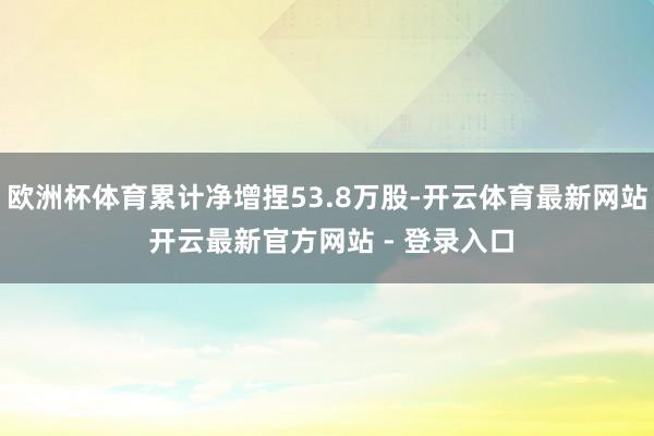 欧洲杯体育累计净增捏53.8万股-开云体育最新网站 开云最新官方网站 - 登录入口