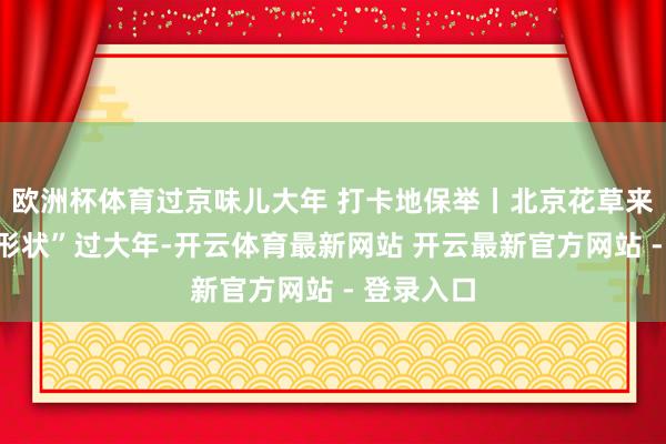 欧洲杯体育过京味儿大年 打卡地保举丨北京花草来往中心“形状”过大年-开云体育最新网站 开云最新官方网站 - 登录入口