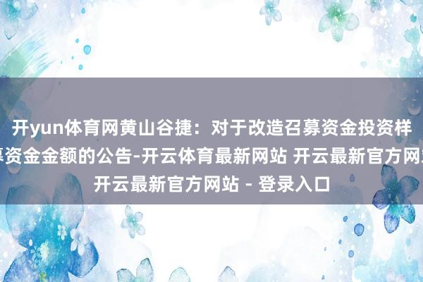 开yun体育网黄山谷捷：对于改造召募资金投资样式拟插足召募资金金额的公告-开云体育最新网站 开云最新官方网站 - 登录入口