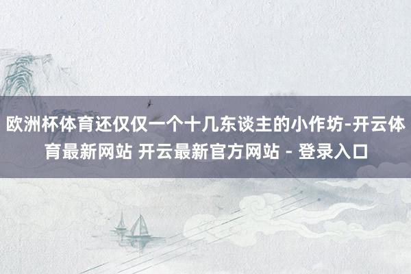 欧洲杯体育还仅仅一个十几东谈主的小作坊-开云体育最新网站 开云最新官方网站 - 登录入口
