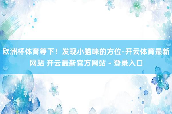 欧洲杯体育等下！发现小猫咪的方位-开云体育最新网站 开云最新官方网站 - 登录入口