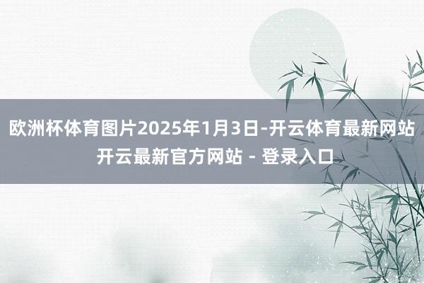 欧洲杯体育图片2025年1月3日-开云体育最新网站 开云最新官方网站 - 登录入口