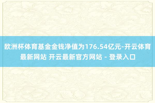 欧洲杯体育基金金钱净值为176.54亿元-开云体育最新网站 开云最新官方网站 - 登录入口
