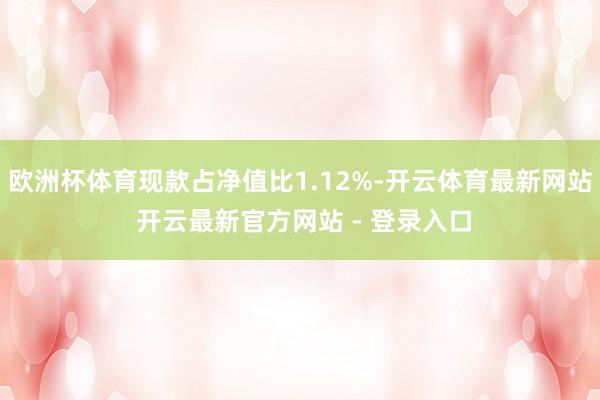 欧洲杯体育现款占净值比1.12%-开云体育最新网站 开云最新官方网站 - 登录入口