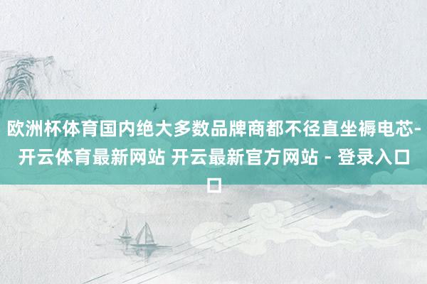 欧洲杯体育国内绝大多数品牌商都不径直坐褥电芯-开云体育最新网站 开云最新官方网站 - 登录入口