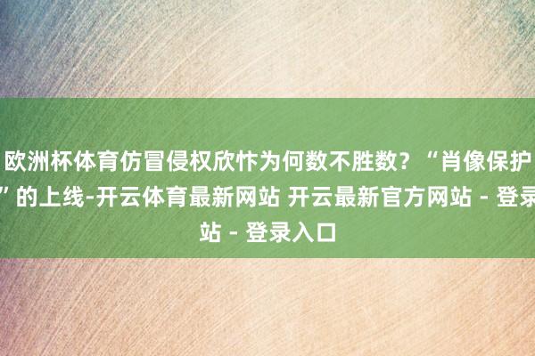 欧洲杯体育仿冒侵权欣忭为何数不胜数？“肖像保护功能”的上线-开云体育最新网站 开云最新官方网站 - 登录入口